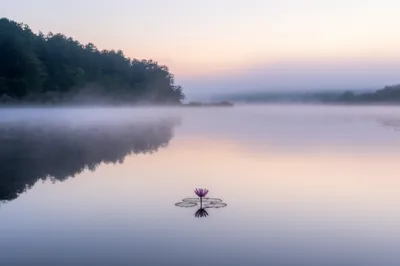 Illustration quiets - Image 1