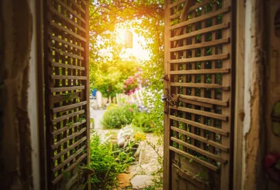 Illustration heck - Image 1