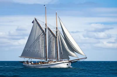 Illustration yawl - Image 1