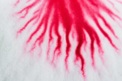 Illustration seep - Image 1