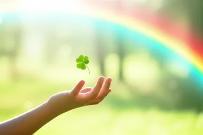 Illustration hansel - Image 1