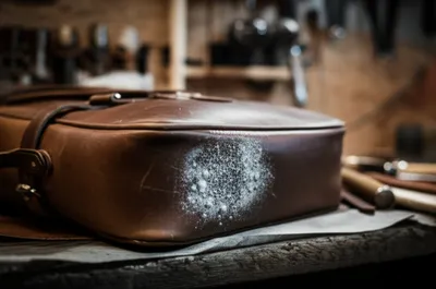 Illustration spewed - Image 1