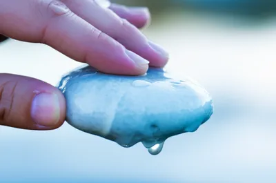 Illustration cool - Image 1