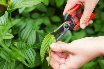 Illustration slipping - Image 1