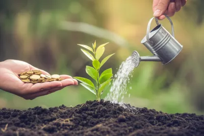 Illustration factor - Image 1