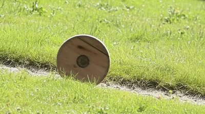 Illustration trundles - Image 1