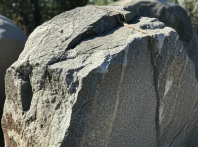 Illustration hunk - Image 1