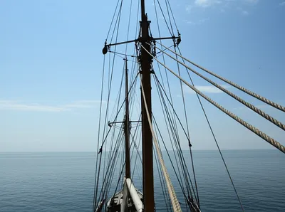 Illustration shroud - Image 1