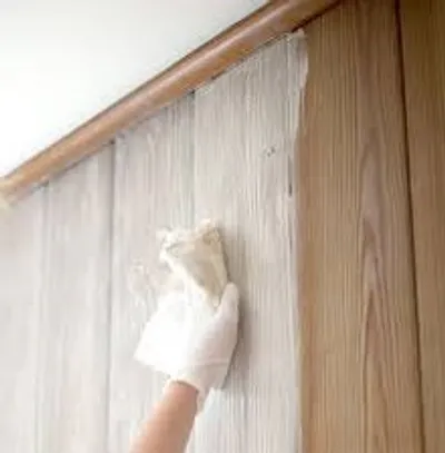 Illustration whitewash - Image 2