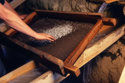 Illustration lues - Image 1