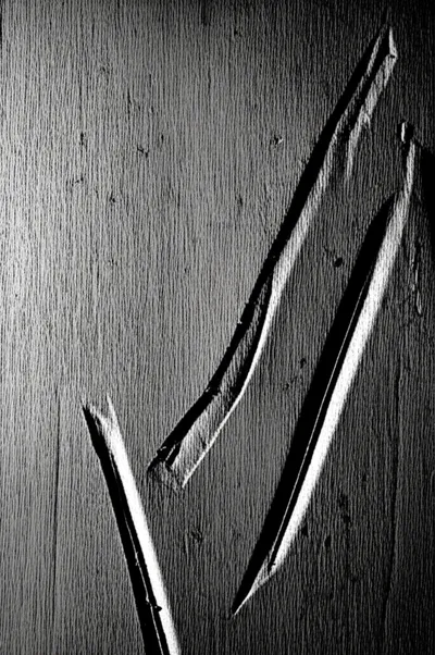 Illustration claws - Image 2