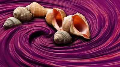 Illustration purple - Image 1