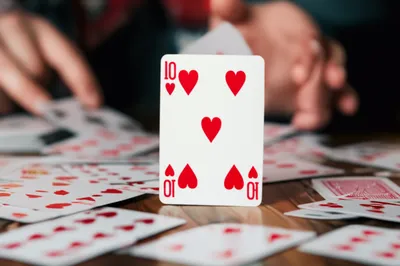 Illustration ruff - Image 1