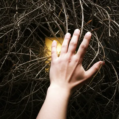 Illustration restrictions - Image 1