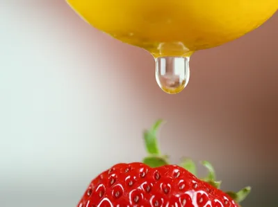 Illustration soured - Image 1