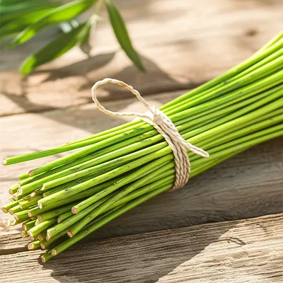 Illustration wands - Image 1