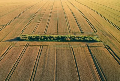 Illustration balk - Image 1