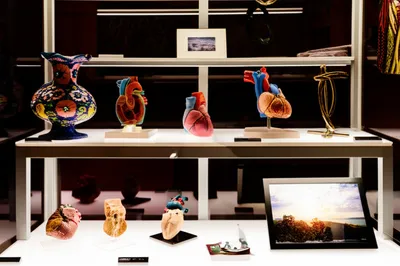 Illustration showcases - Image 1