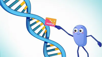 Illustration methylate - Image 1