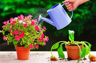 Illustration affect - Image 1