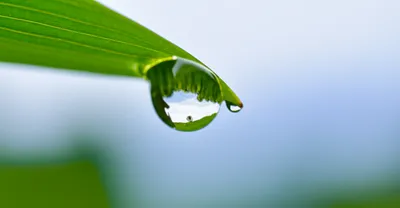 Illustration merest - Image 1