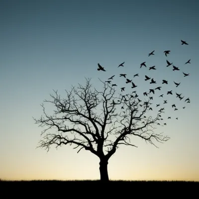 Illustration attrition - Image 1