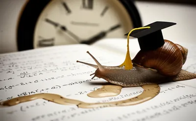 Illustration sluggish - Image 1