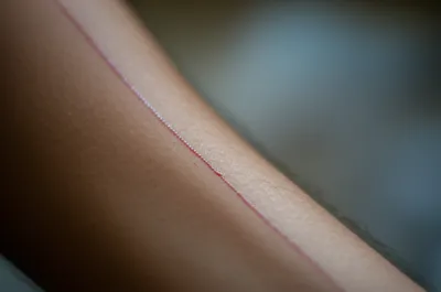 Illustration blade - Image 1