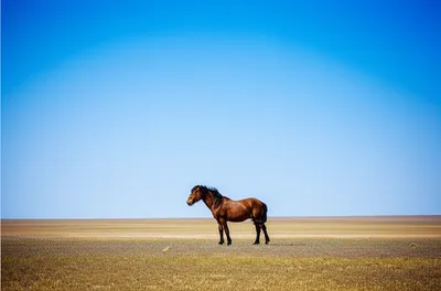 Illustration unowned - Image 1