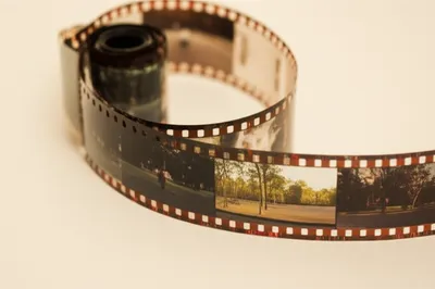 Illustration shots - Image 1