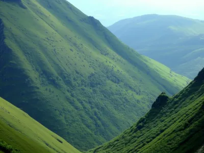 Illustration offset - Image 1