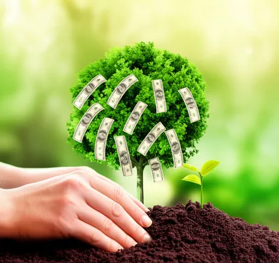 Illustration reinvestment - Image 1