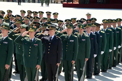 Illustration review - Image 1