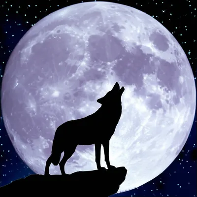 Illustration proverbial - Image 1