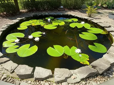 Illustration tanks - Image 1