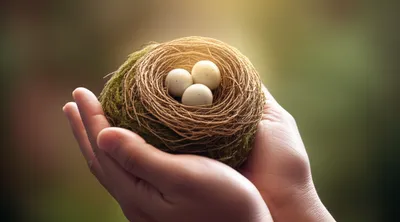 Illustration intrusted