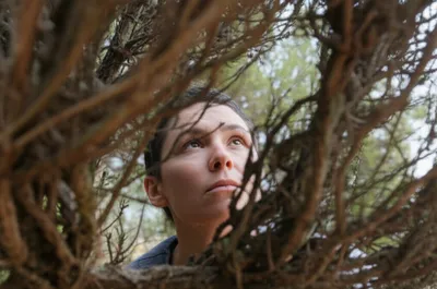 Illustration twig - Image 1