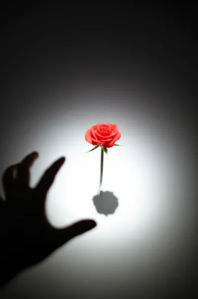 Illustration blurring - Image 1