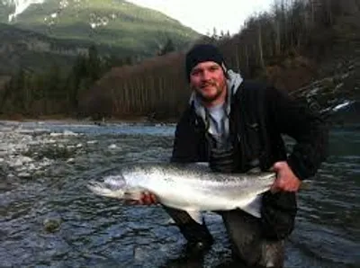 Illustration bank - Image 2