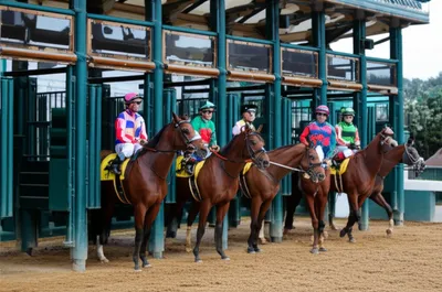 Illustration strings - Image 1