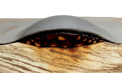 Illustration traps - Image 1