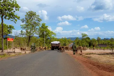 Illustration herdsmen - Image 2