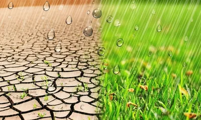 Illustration replenish