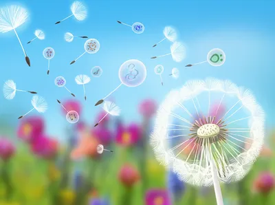 Illustration waft - Image 1