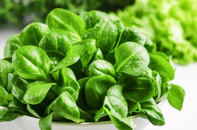 Illustration mache - Image 1