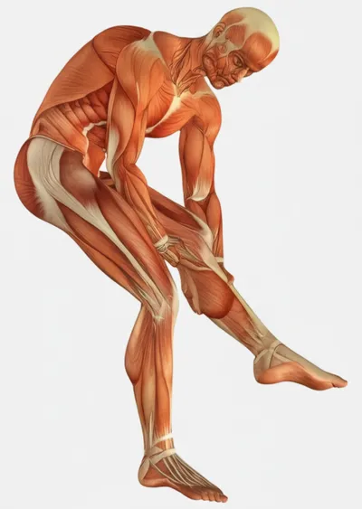 Illustration cramps - Image 1