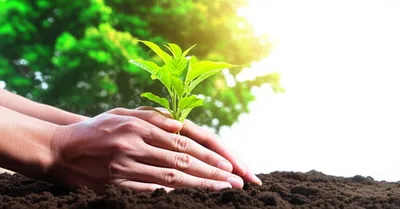 Illustration owns - Image 1