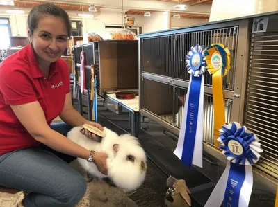 Illustration fancied - Image 1