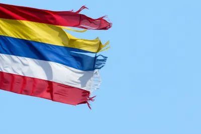 Illustration flies - Image 1