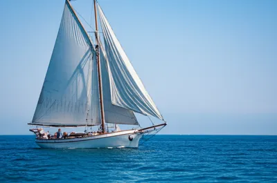 Illustration sailer - Image 1